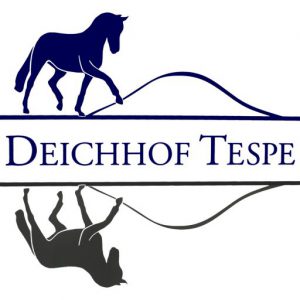 cropped-DT-quad-weiß-300x300