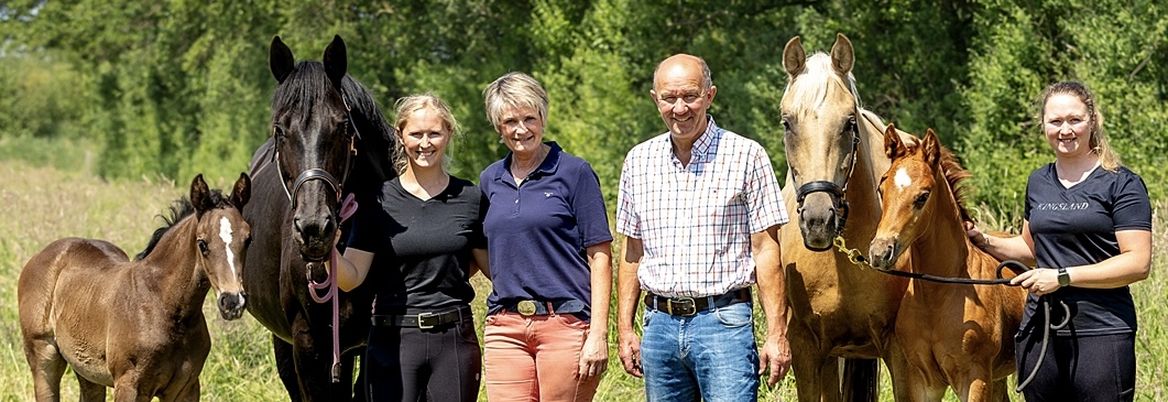 Siegerfohlen 2016 auf der Fohlenschau der Pferdezuchtvereine Artlenburger Elbmarsch und Winsen.